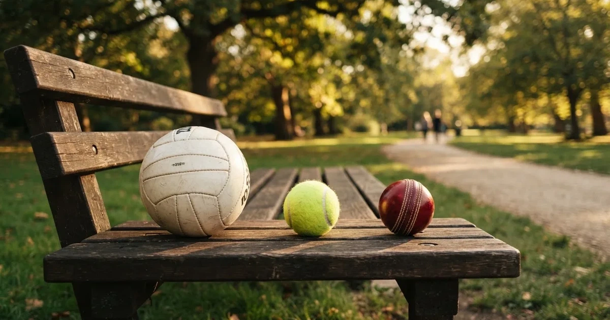 Three balls of different kinds side by side on a wooden bench