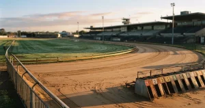 Greyhound racing betting odds in Great Britain — what every price really costs