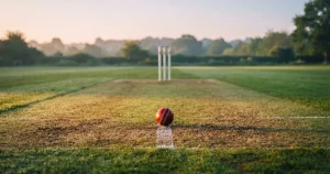 Online cricket betting 2026 — costs, offers, market margins reviewed
