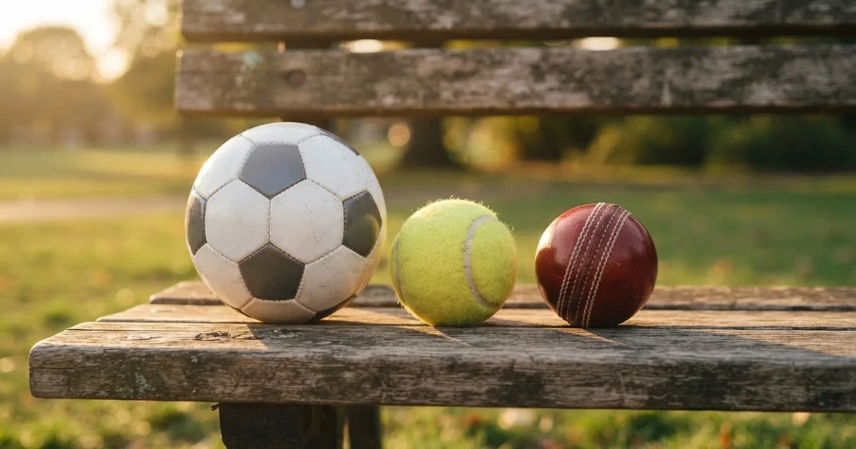 Three balls of different kinds side by side on a wooden bench